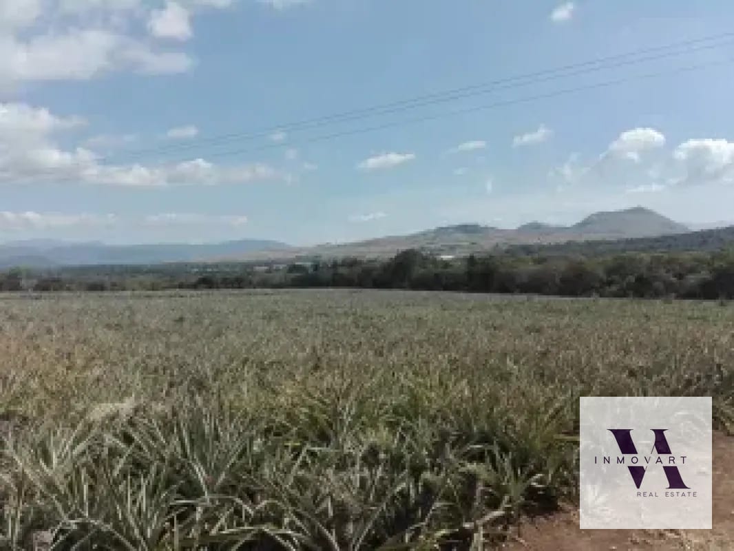 Terreno a la venta Jocotillo — Terreno en Venta en Villa Canales, Guatemala, Ciudad — foto 1 de 9