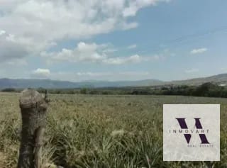 Terreno a la venta Jocotillo — Terreno en Venta en Villa Canales, Guatemala, Ciudad — miniatura 9 de 9