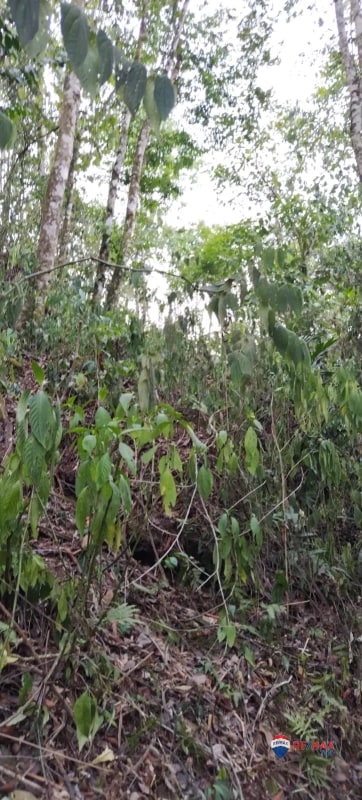 TERRENO EN USPANTAN, QUICHÉ TIENE RIÓ EN MEDIO DEL TERRENO - 3
