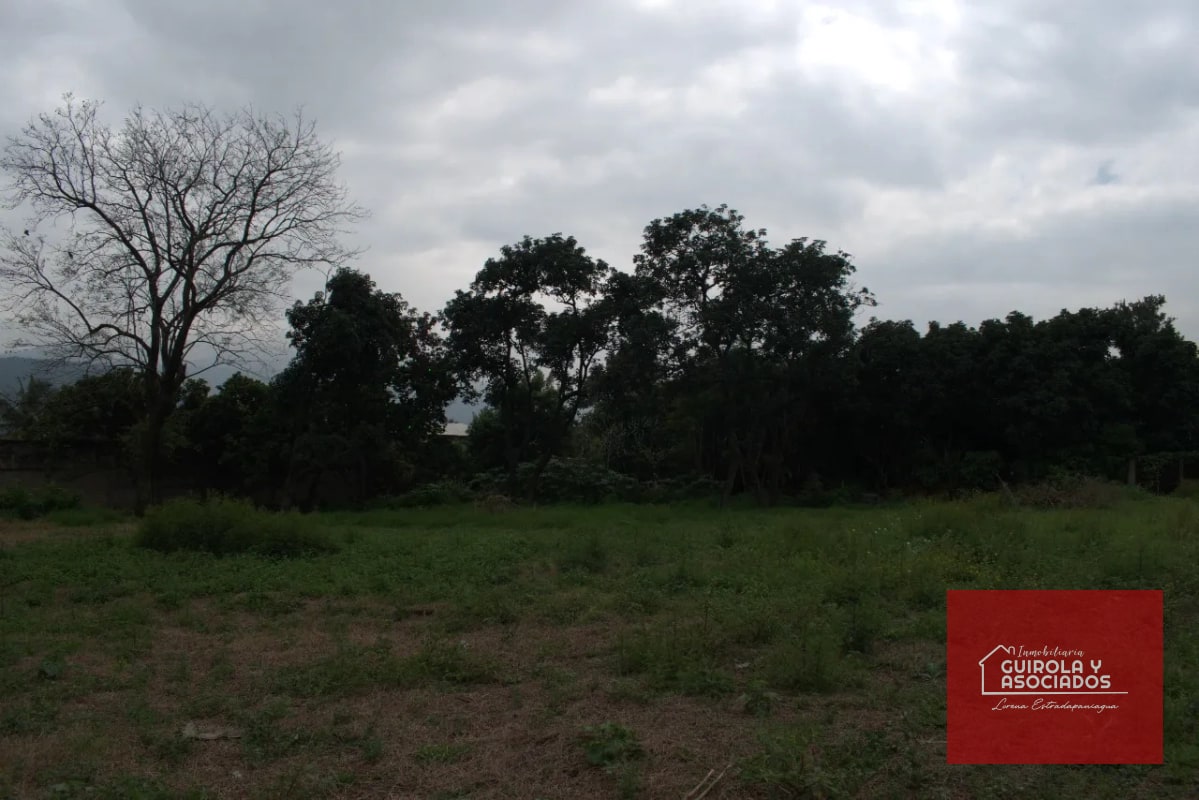 TERRENO EN VENTA EN AMATITLAN 001TVAD - 5