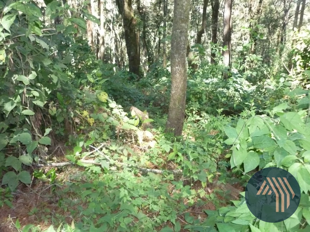 VENTA DE AMPLIO TERRENO - PIEDRA PARADA, SANTA CAT. PINULA - 1