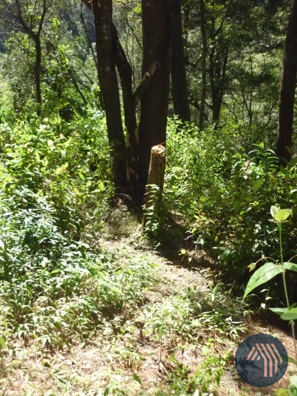 VENTA DE AMPLIO TERRENO - PIEDRA PARADA, SANTA CAT. PINULA - 6