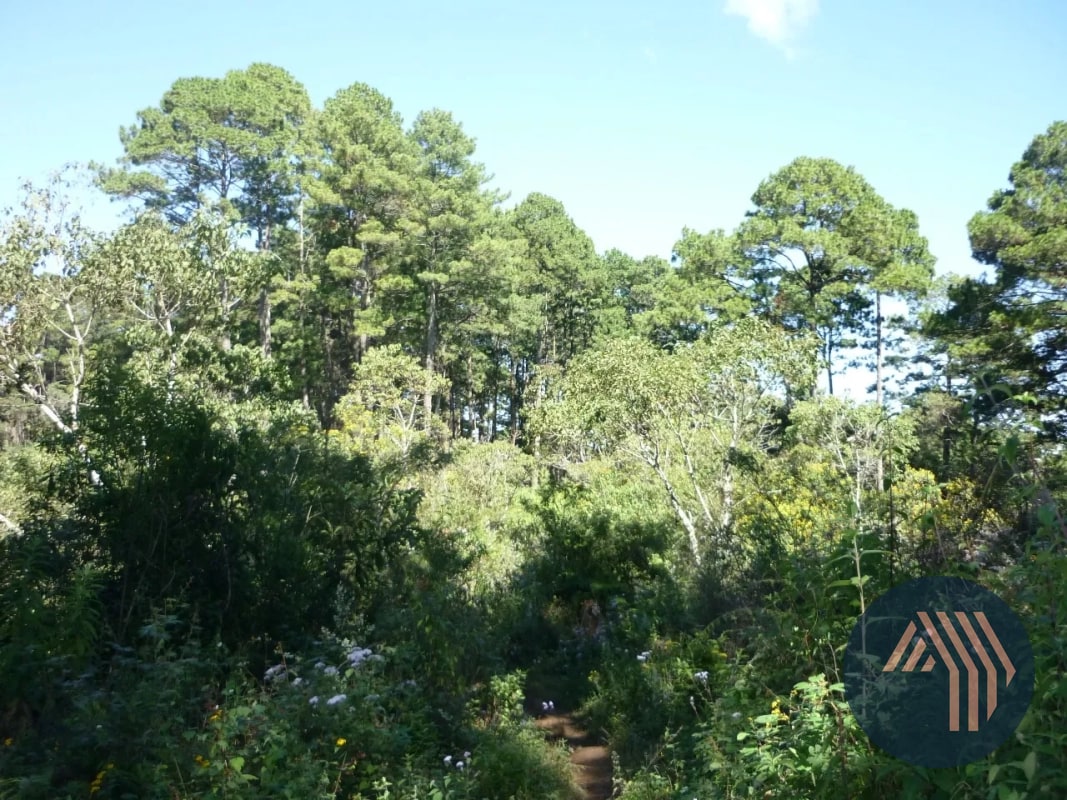 VENTA DE AMPLIO TERRENO - PIEDRA PARADA, SANTA CAT. PINULA - 3