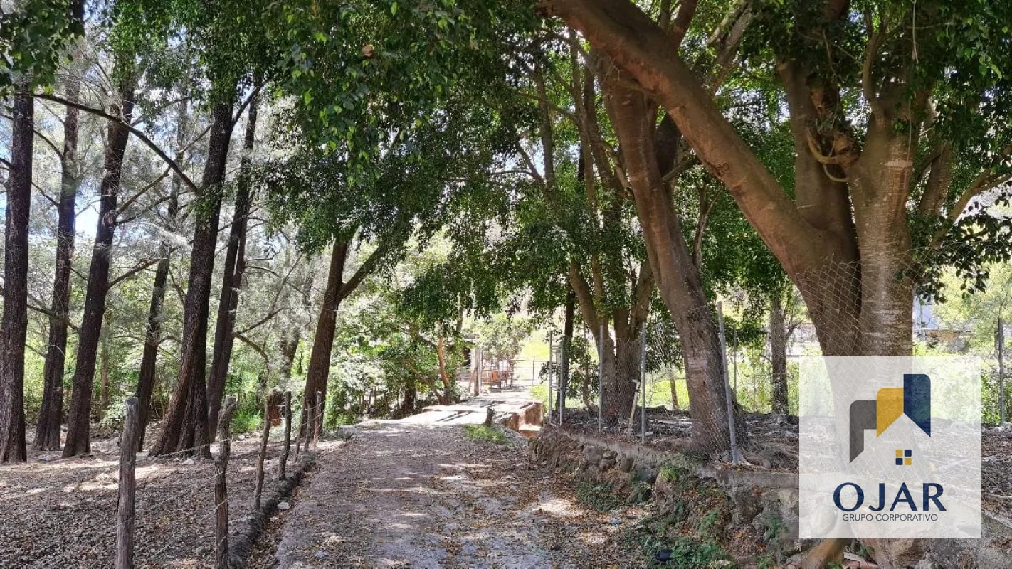TERRENO EN VENTA EN JALAPA, A 12 MIN DEL CENTRO - 11