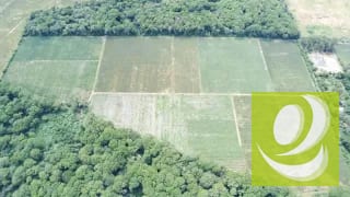 FINCA DE 17 MANZANAS PLANAS EN VENTA EN EL JOCOTILLO — Terreno en Venta en planes de barcenas, Carretera a El Salvador, Guatemala, Ciudad — miniatura 5 de 5