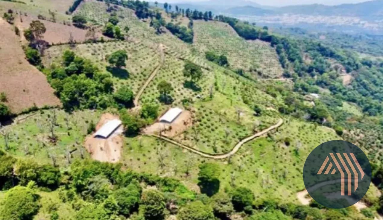 VENTA DE ESPECTACULAR FINCA EN PRODUCCIÓN - SAN VICENTE PACAYA — Finca en Venta en San Vicente Pacaya, Escuintla — foto 2 de 10