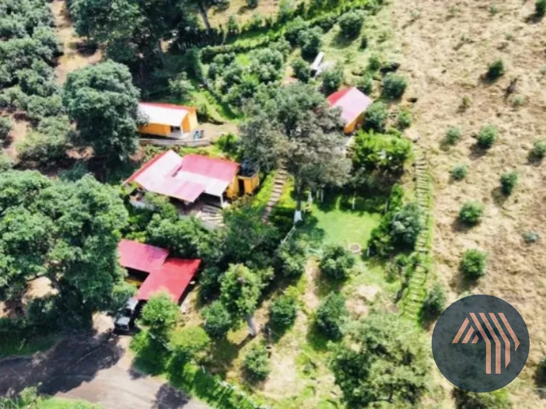 VENTA DE ESPECTACULAR FINCA EN PRODUCCIÓN - SAN VICENTE PACAYA — Finca en Venta en San Vicente Pacaya, Escuintla — foto 10 de 10