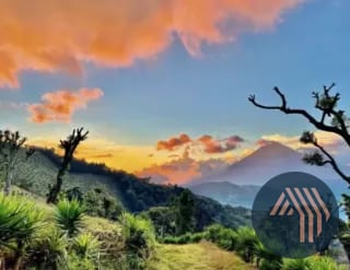 VENTA DE ESPECTACULAR FINCA EN PRODUCCIÓN - SAN VICENTE PACAYA — Finca en Venta en San Vicente Pacaya, Escuintla — miniatura 7 de 10