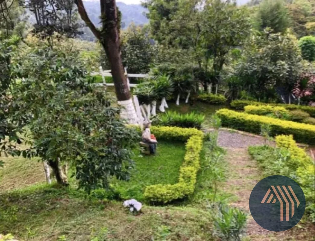 VENTA DE ESPECTACULAR FINCA EN PRODUCCIÓN - SAN VICENTE PACAYA — Finca en Venta en San Vicente Pacaya, Escuintla — foto 8 de 10