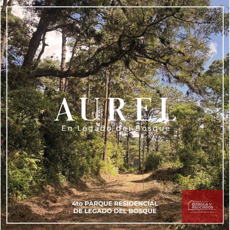 TERRENO EN VENTA EN LEGADO DEL BOSQUE 005TVLD - 1