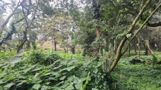 Terreno en venta en Premier Campestre km 23 carretera a El Salvador — Terreno en Venta en Carretera a El Salvador, Guatemala, Ciudad — miniatura 4 de 7