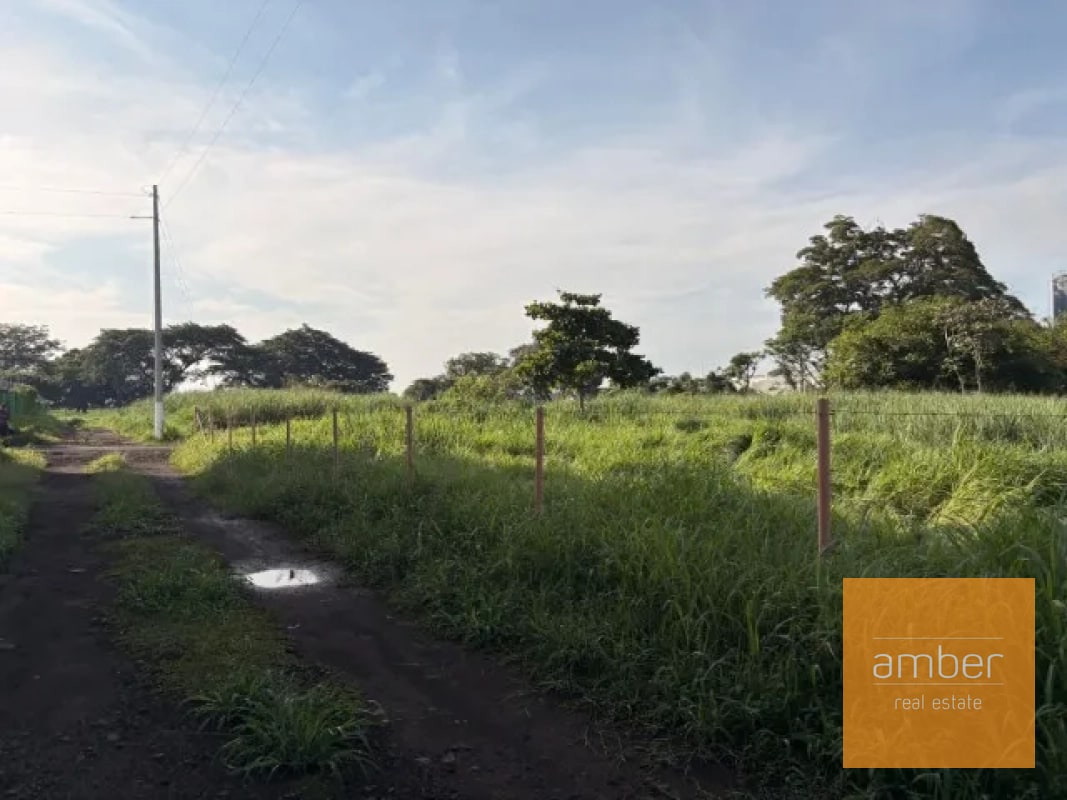 Terreno en Escuintla - 5