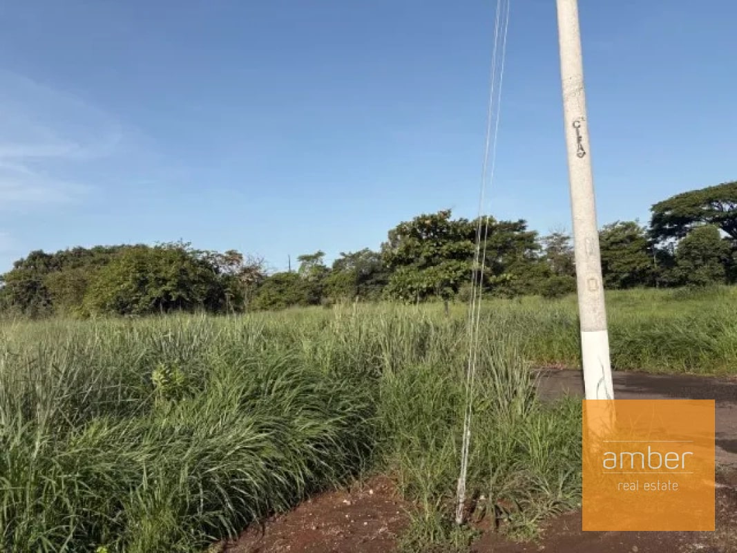 Terreno en Escuintla - 3