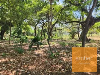 Terreno en Escuintla — Terreno en Venta en Escuintla, Escuintla — miniatura 10 de 11