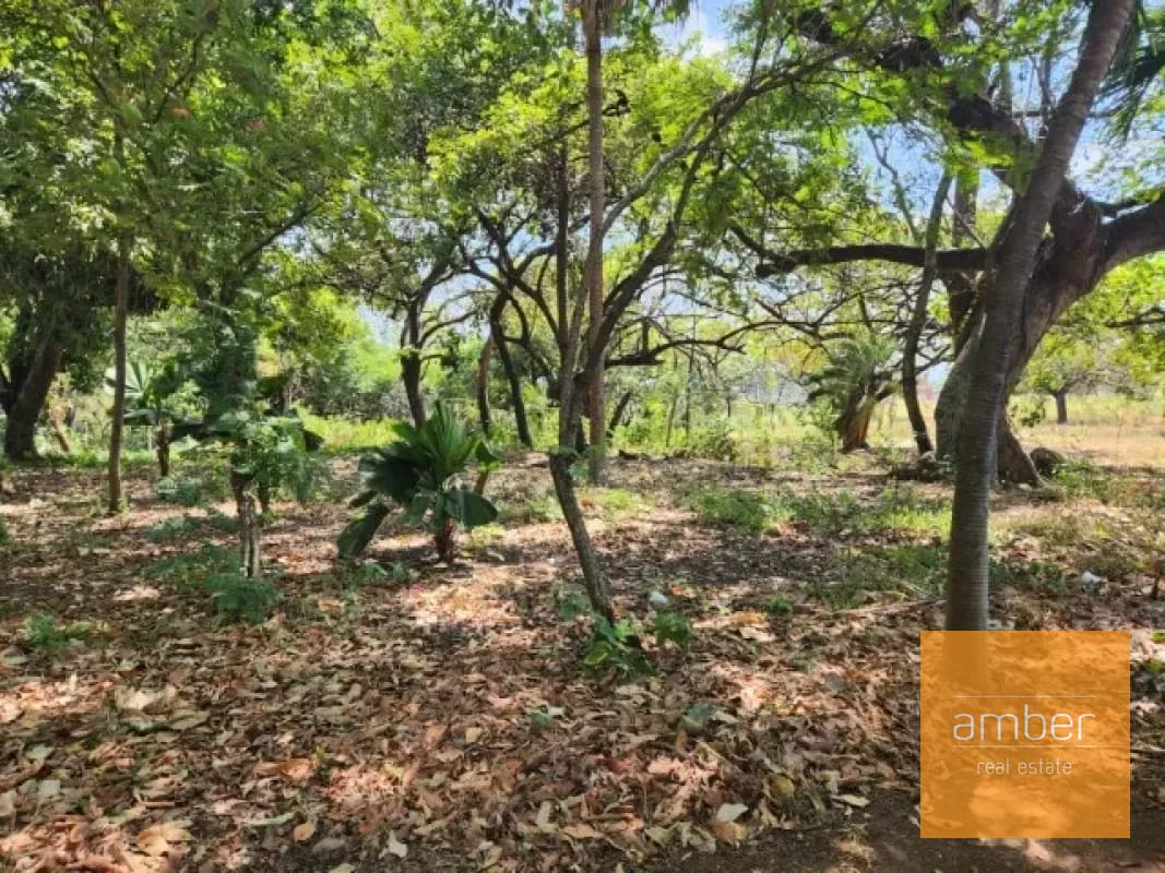 Terreno en renta en Escuintla — Terreno en Alquiler en Escuintla, Escuintla — foto 5 de 6