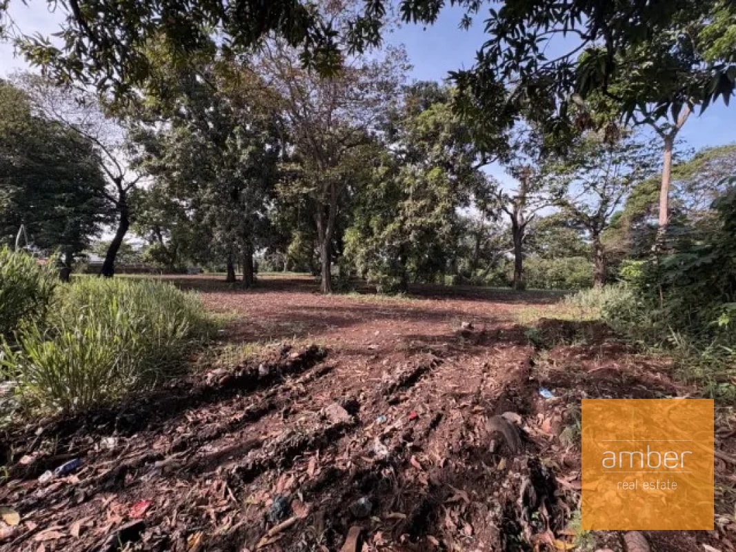 Terreno carretera a El Salto, Escuintla - 1