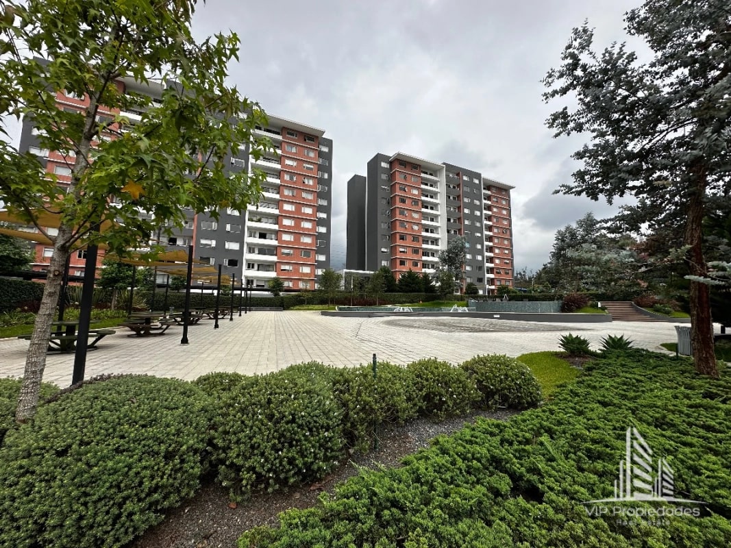 Segheria zona 14, apartamento en alquiler - 11