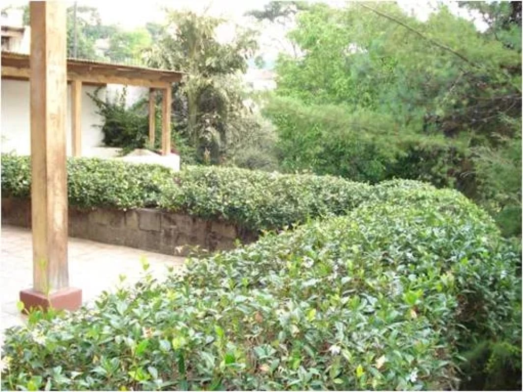 Zona 10 Casa en venta — Casa en Venta en El Prado, Zona 10, Guatemala, Ciudad — foto 2 de 6