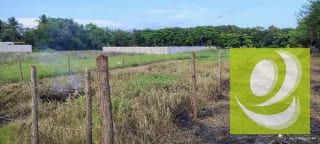 VENDO TERRENO EN MONTERRICO CERCA DE LA PLAYA — Terreno en Venta en Monterrico, Santa Rosa — miniatura 4 de 4