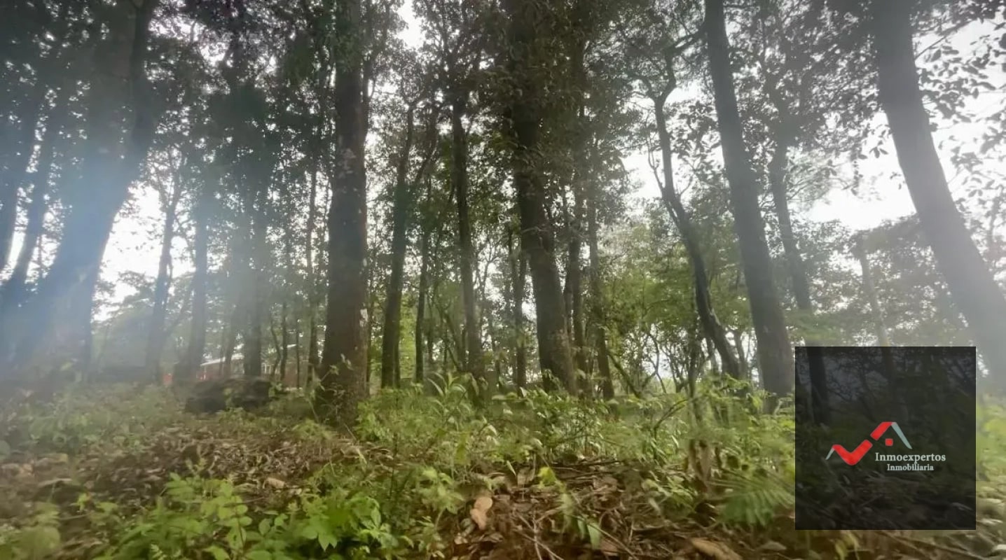 TERRENO EN VENTA   SAN LUCAS, SACATEPÉQUEZ - 7
