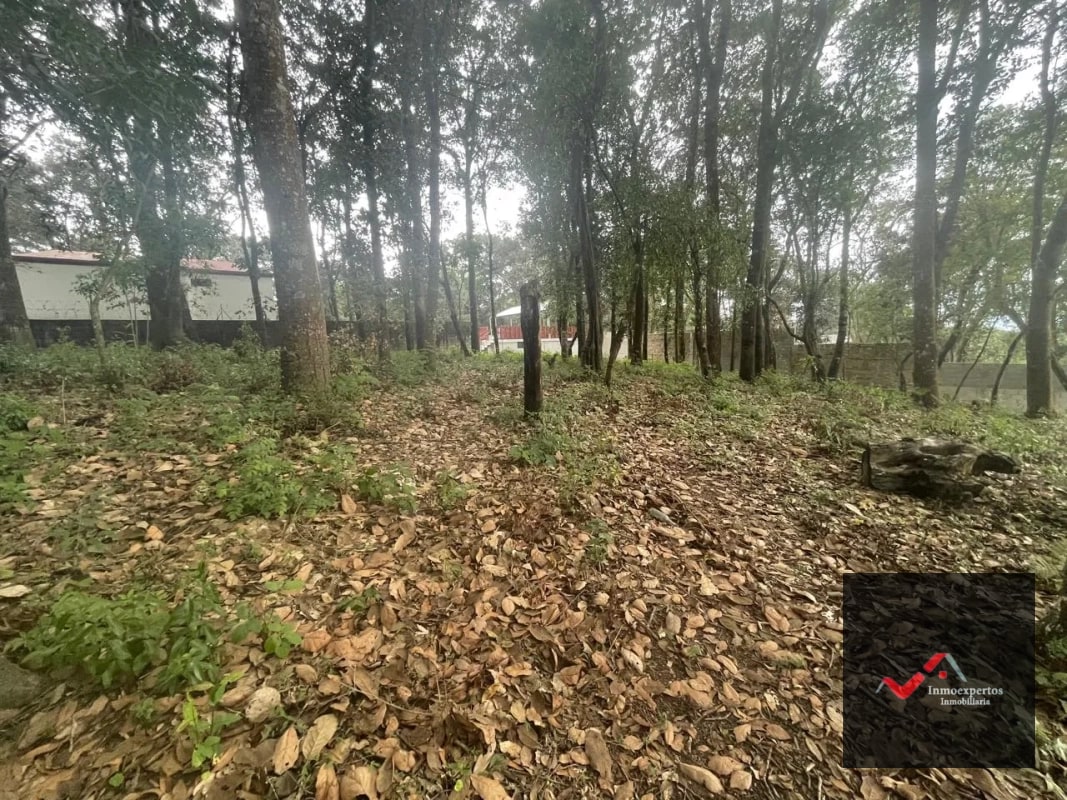 TERRENO EN VENTA   SAN LUCAS, SACATEPÉQUEZ - 5