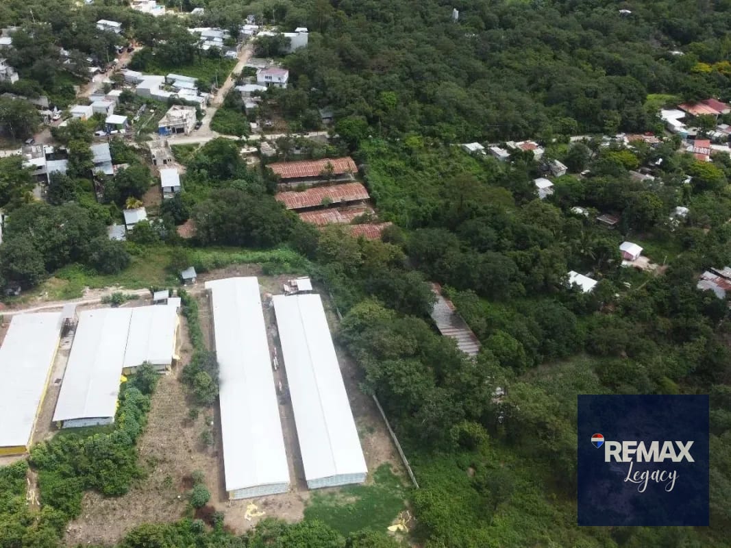 Granja en Venta | Palencia | KM 23.5 — Terreno en Venta en palencia, Guatemala, Ciudad — foto 6 de 10