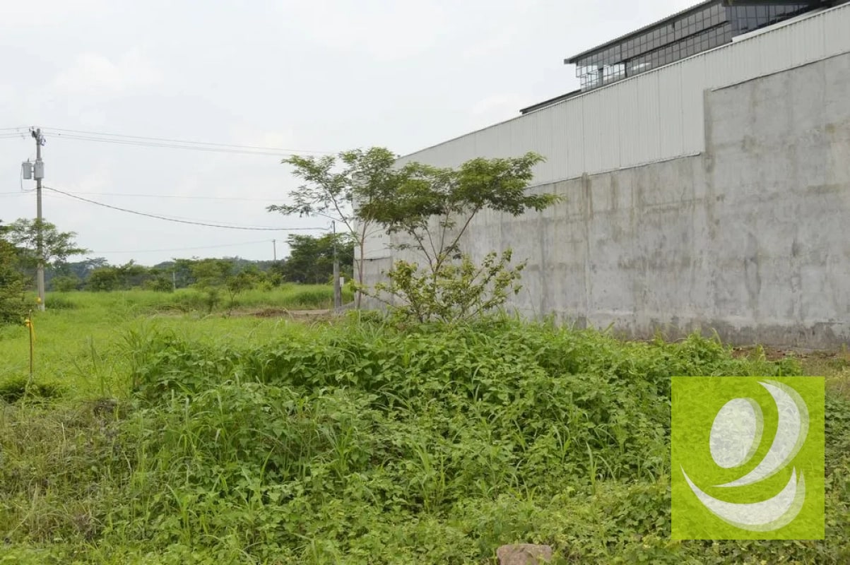 VENDO TERRENO INDUSTRIAL ESCUINTLA EN COMPLEJO INDUSTRIAL SEGURO - 3