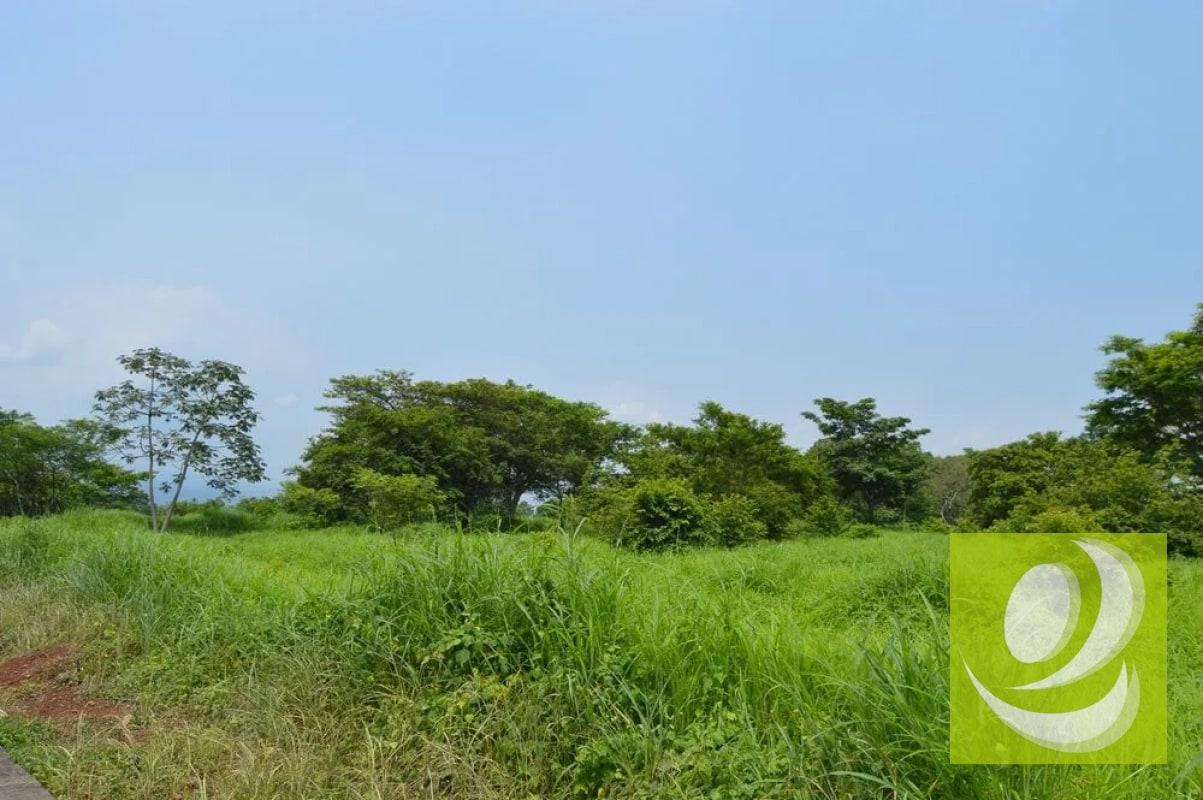 Terreno Industrial en Venta Escuintla - 4