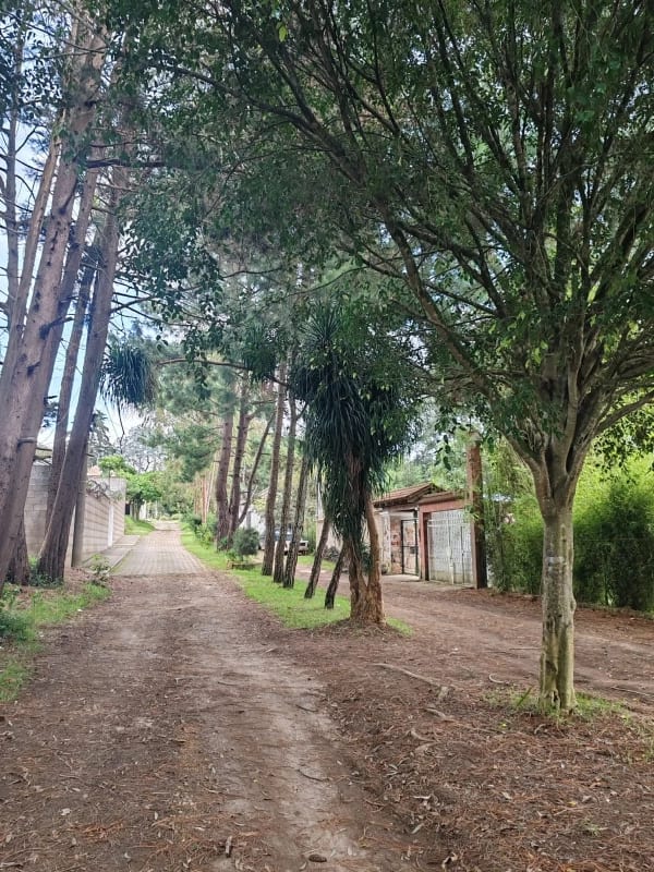 TERRENO EN VENTA SANTA AMELIA SANTIAGO SACATEPÉQUEZ — Terreno en Venta en Santa Amelia, San Lucas Sacatepéquez, Sacatepéquez — foto 6 de 9