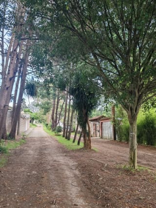 TERRENO EN VENTA SANTA AMELIA SANTIAGO SACATEPÉQUEZ — Terreno en Venta en Santa Amelia, San Lucas Sacatepéquez, Sacatepéquez — miniatura 6 de 9