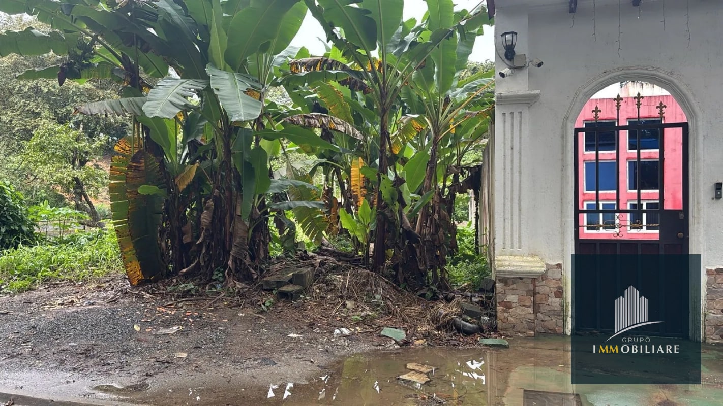 Terreno en venta Puerto Barrios Izabal - 3