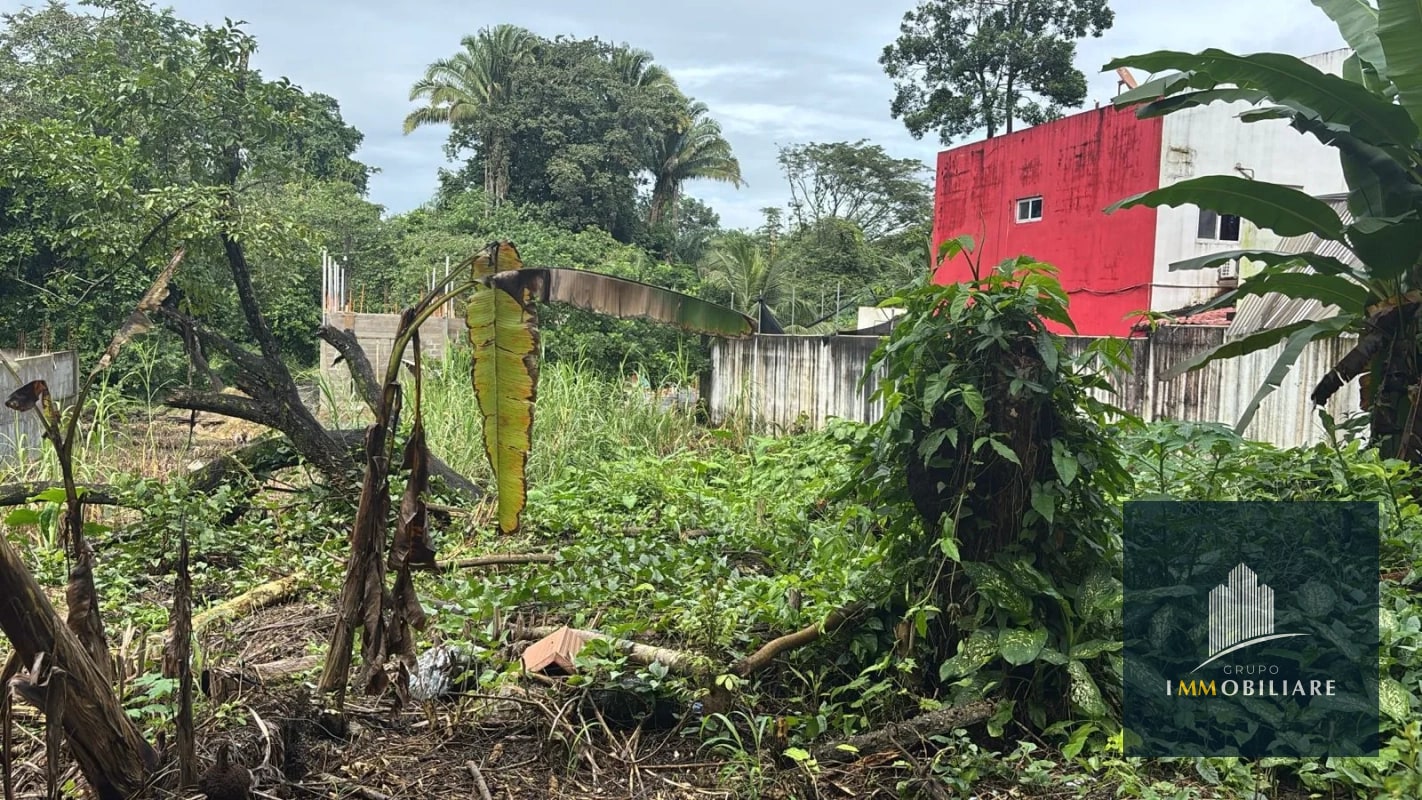 Terreno en venta Puerto Barrios Izabal - 2
