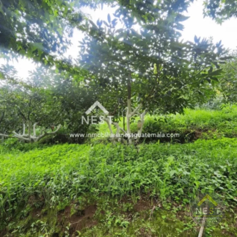 Terreno de 1.5 manzanas en VENTA | Las Lomas, Santo Tomas Milpas Altas - 4