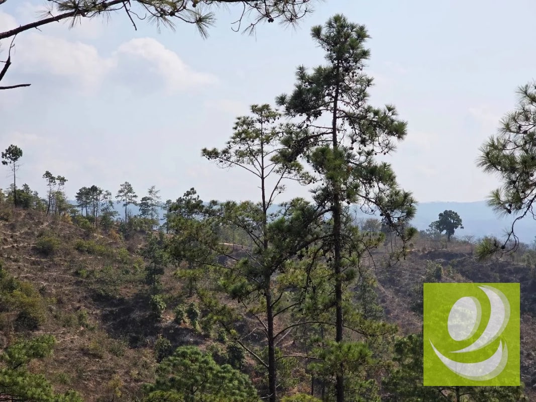 FINCA EN VENTA EN SAN RAYMUNDO - 2
