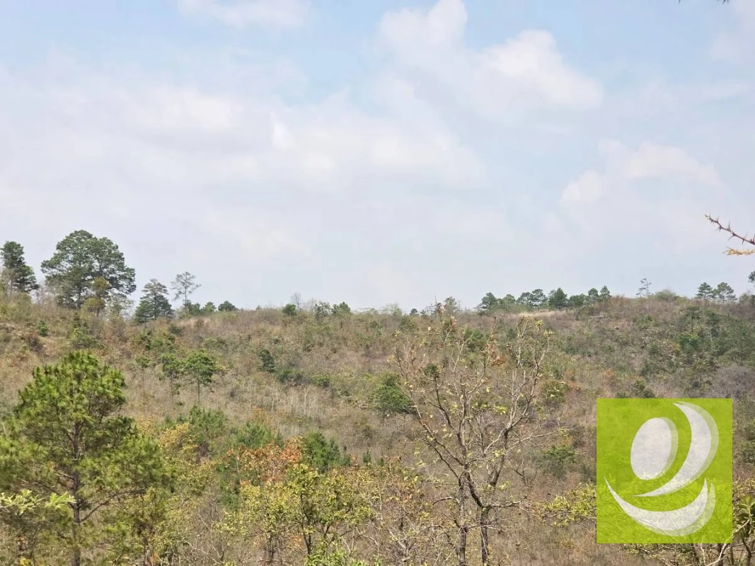 FINCA EN VENTA EN SAN RAYMUNDO - 7