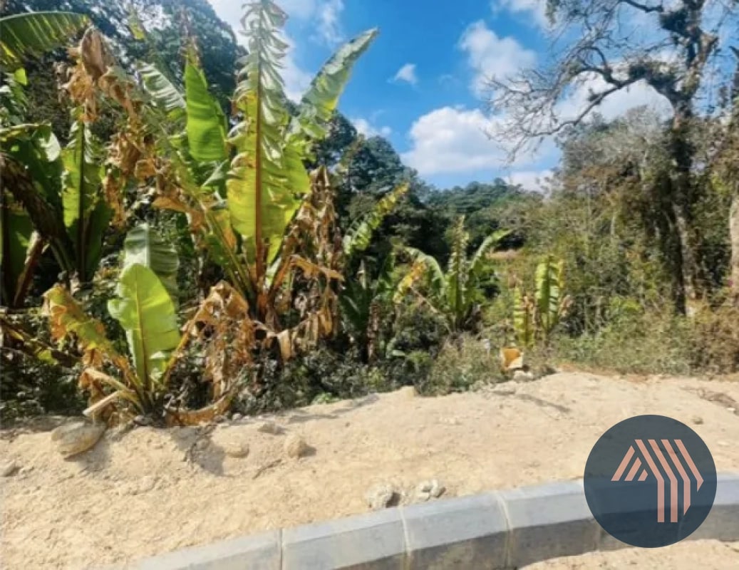 VENTA DE TERRENOS - SANTA ROSALÍA, KM 12.5 CARRETERA AL SALVADOR - 9