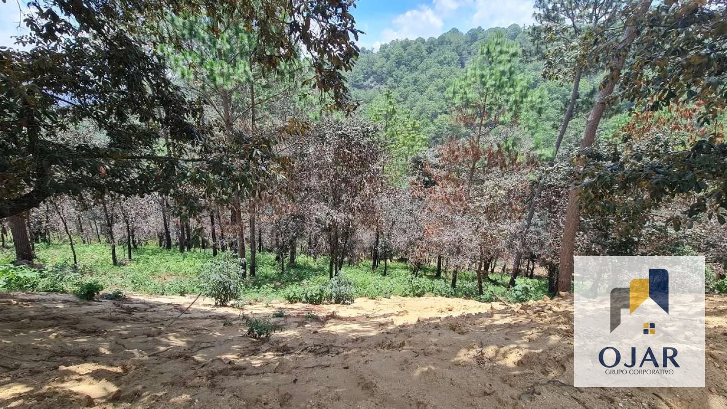 TERRENOS EN VENTA EN SUMPANGO, A 3 MIN DEL CENTRO - 11