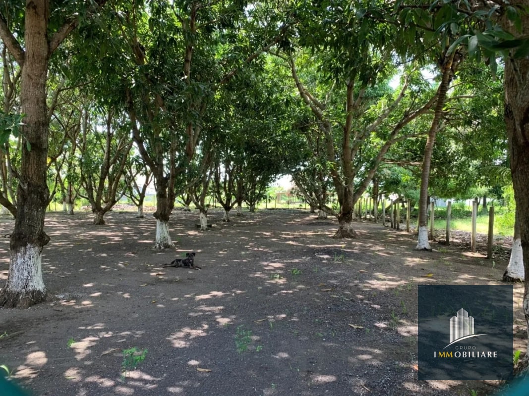 Casa de playa en venta Monterrico Santa Rosa - 3