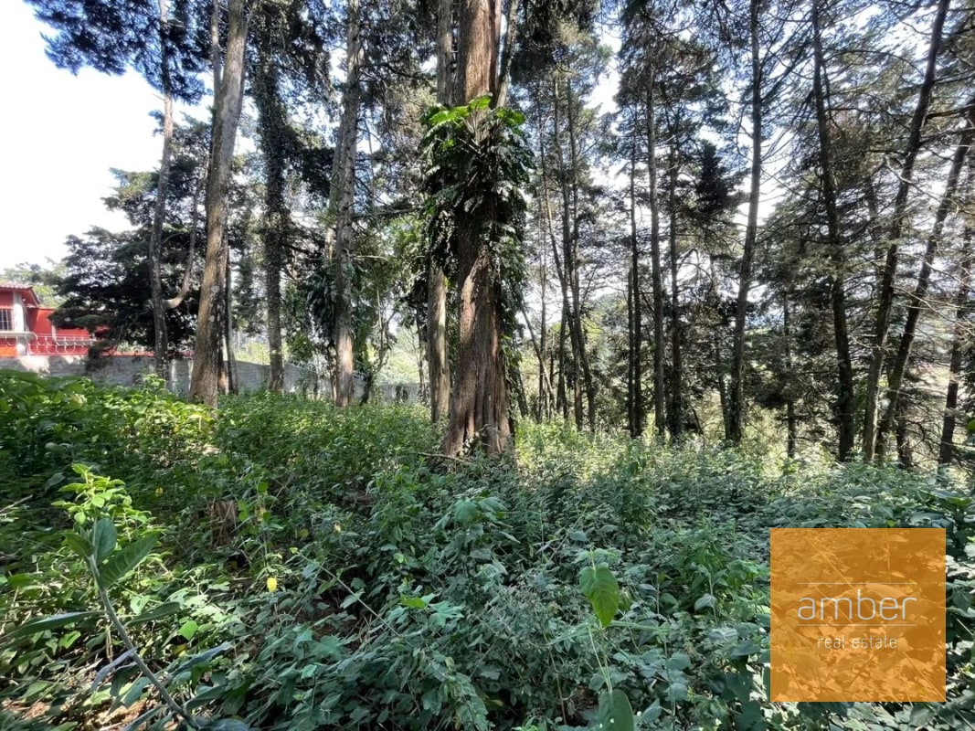 Terreno Km 13.1 CES, Finca el Socorro - 7
