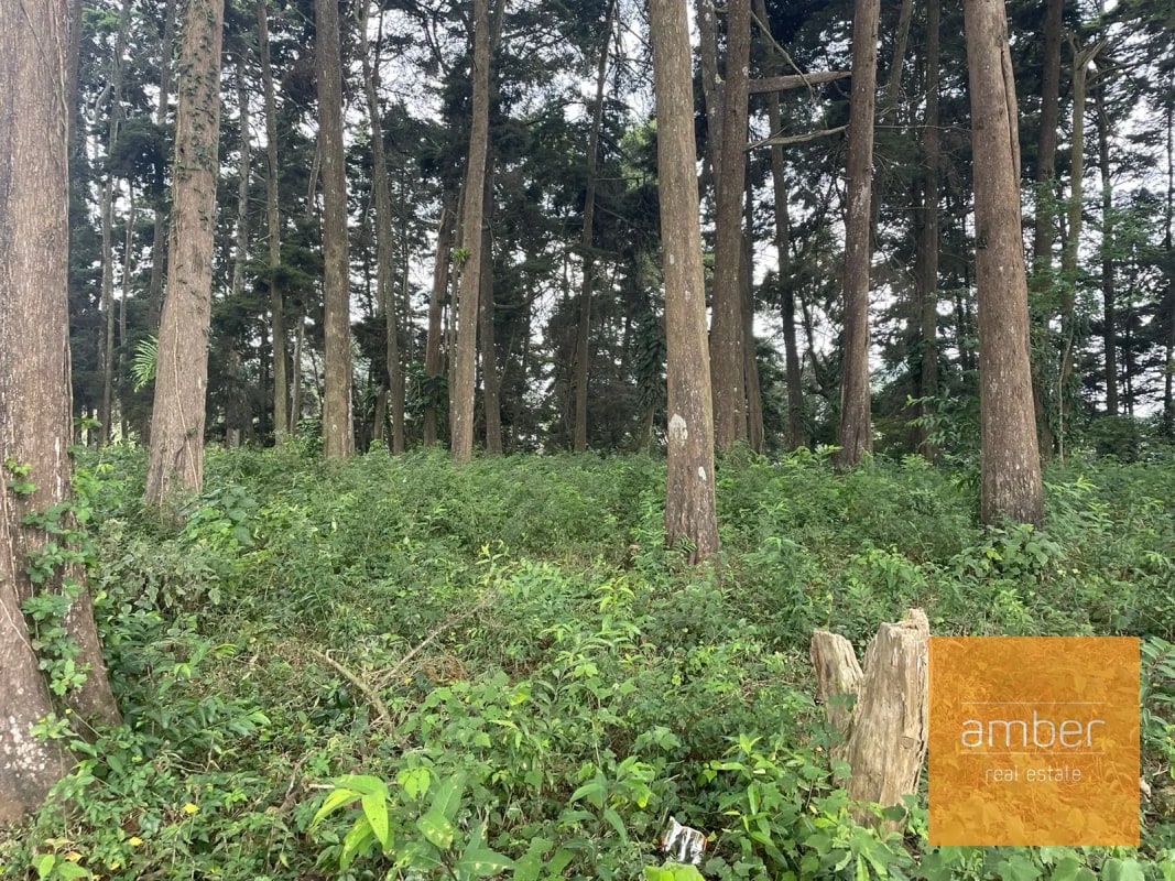 Terreno Km 13.1 CES, Finca el Socorro - 6