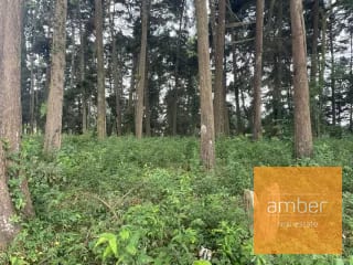 Terreno Km 13.1 CES, Finca el Socorro — Terreno en Venta en Carretera a El Salvador, Guatemala, Ciudad — miniatura 6 de 7