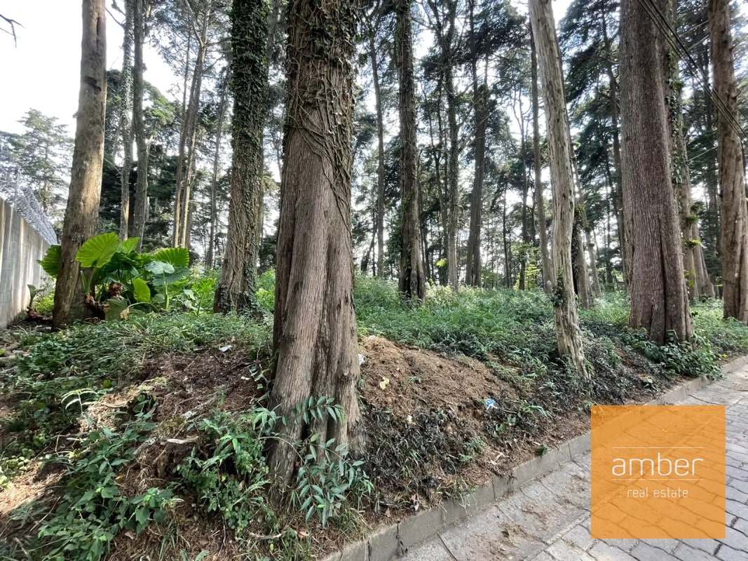 Terreno Km 13.1 CES, Finca el Socorro - 4