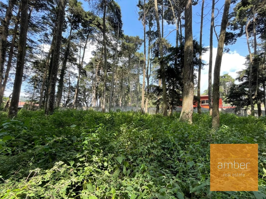 Terreno Km 13.1 CES, Finca el Socorro - 3