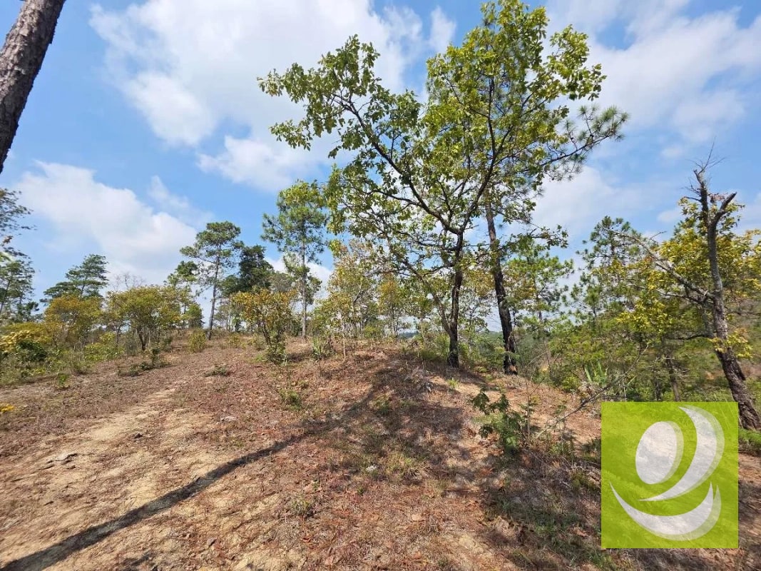 FINCA DE 300 MANZANAS EN VENTA EN SAN RAYMUNDO - 1