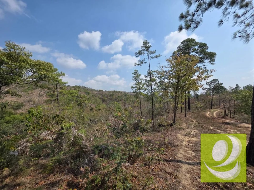 FINCA DE 300 MANZANAS EN VENTA EN SAN RAYMUNDO - 7