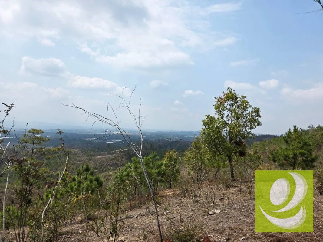 FINCA DE 300 MANZANAS EN VENTA EN SAN RAYMUNDO - 6