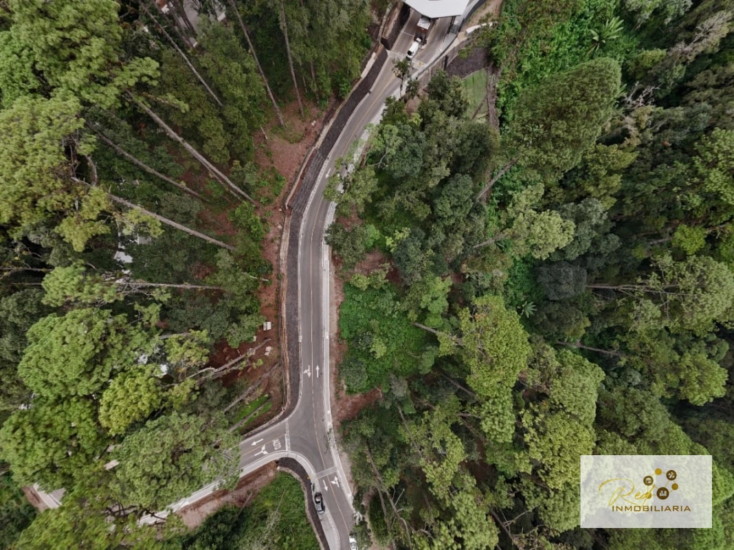 VENTA DE TERRENO PREMIUM LUCENTA DENTRO DE LEGADO DEL BOSQUE - 1
