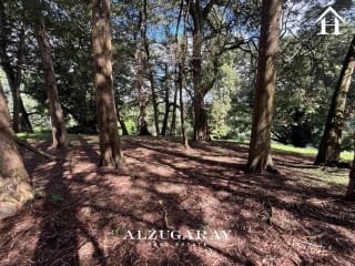 TERRENO SEMI INCLINADO - 4,000 VR2 / HACIENDA NUEVA — Terreno en Venta en Hacienda Nueva, San José Pinula, Guatemala, Ciudad — miniatura 3 de 6