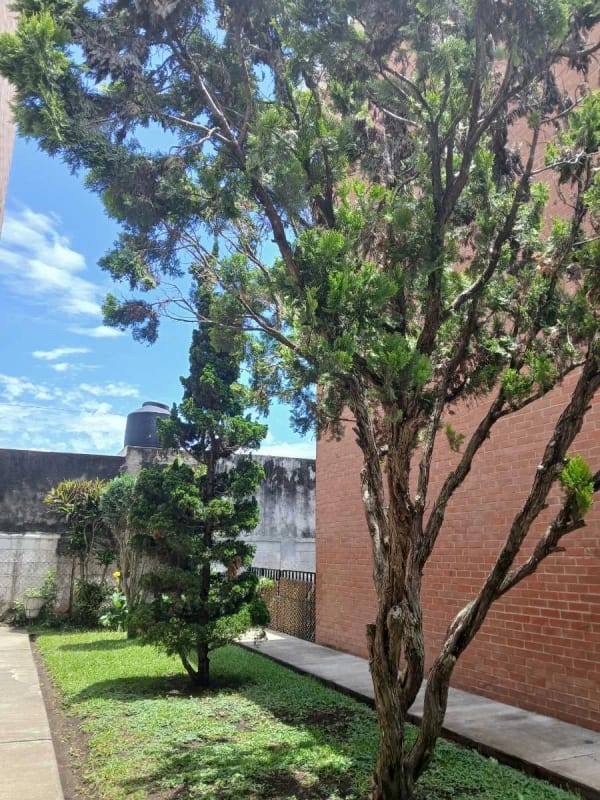 Apartamento Amueblado - Zona 11 — Apartamento en Alquiler en Colonia Mariscal, Zona 11, Guatemala, Ciudad — foto 1 de 7