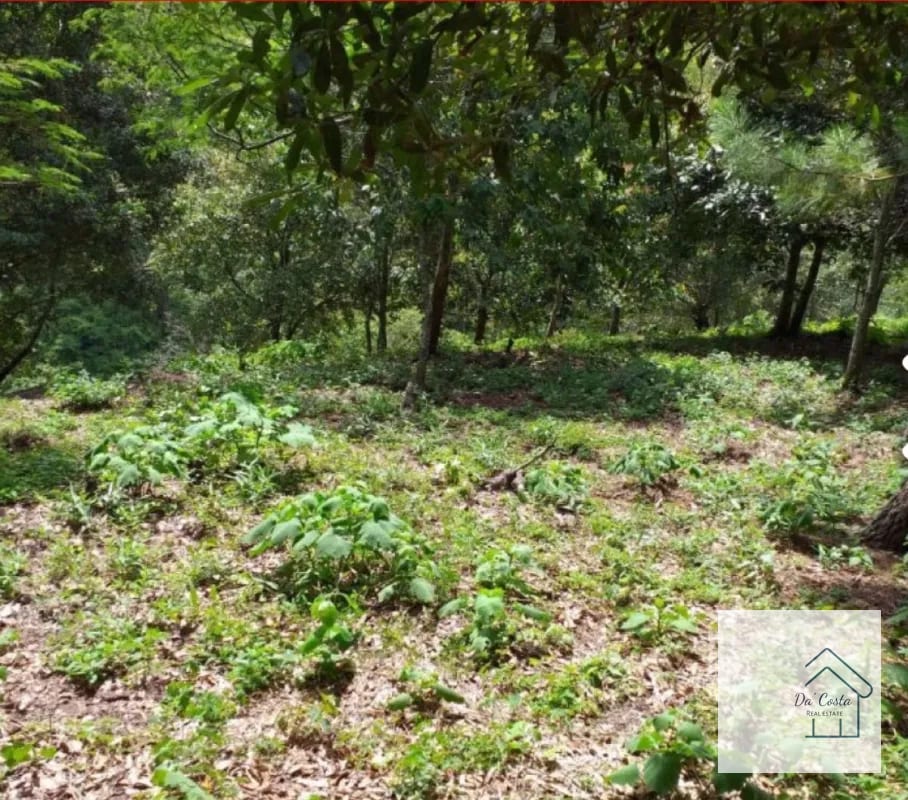 Terreno en Venta Acacias de Cayala — Terreno en Venta en Acacias de Cayalá, Zona 16, Guatemala, Ciudad — foto 1 de 4